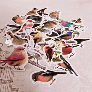 🐦 40pcs Cute Country Birds Sticker Pack 🐦